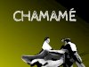 Chamamé